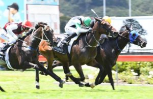 Small NZ Horse Racing Clubs Stand their Ground